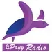 The Radio Network - APayy Radio