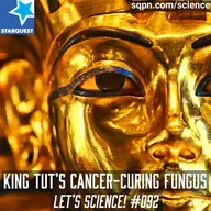 From Curse to Cure: King Tut’s Cancer-Curing Toxic Fungus