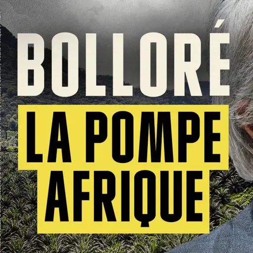 « Vincent Bolloré s’est fait de l’argent sur le dos des Africains »