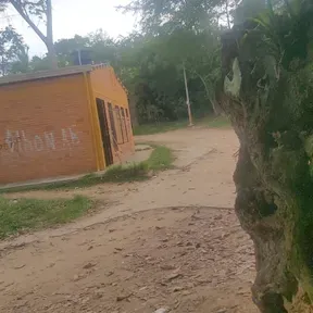 Radio de elvergomeztorba