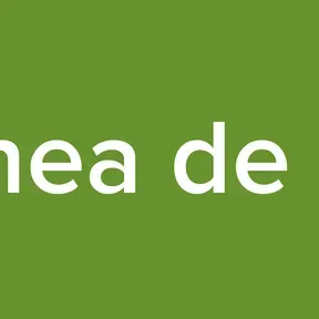 En la línea de batalla