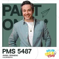 PANTONE PMS 5487 - ANGEL ZERMEÑO