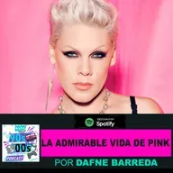 La admirable pero dura vida de Pink