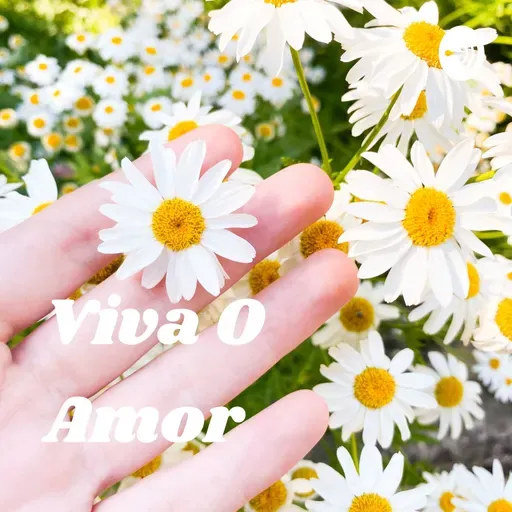 #482 Reflexão sobre a reflexão:Dúvida e Fé