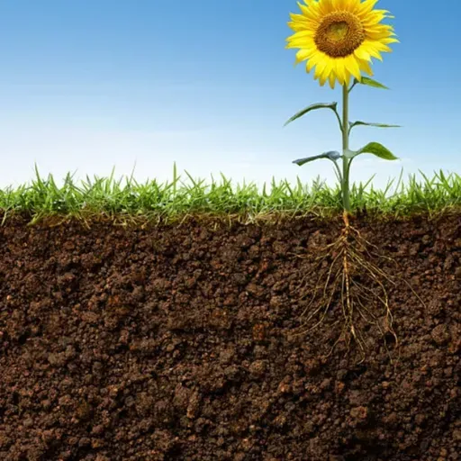 I Still AM ;Is in reference to STILL existing, STILL showing up for the light after darkness