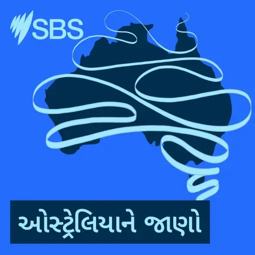 Have you considered a career in translating and interpreting? - જાણો, ઓસ્ટ્રેલિયામાં તમે અનુવાદ અને દુભાષિયાના ક્ષેત્રમાં કારકિર્દી કેવી રીતે બનાવી શકો