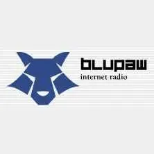 Blu Paw Radio