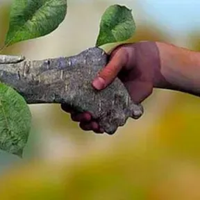 Rádio Ecologia FM