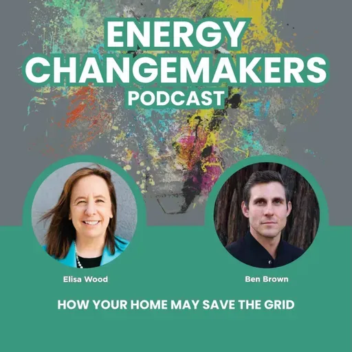 How Your Home May Save the Grid