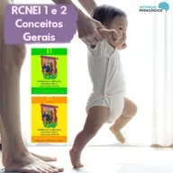 Referencial Curricular Nacional para a Educação Infantil (RCNEI 1 e 2) - Conceitos Gerais