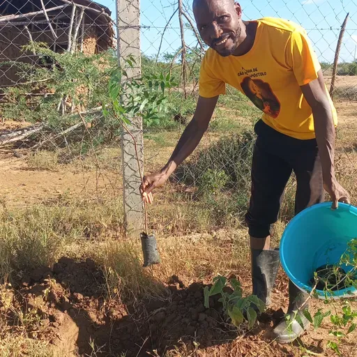 LUSOFONIAS - Semana Laudato Si