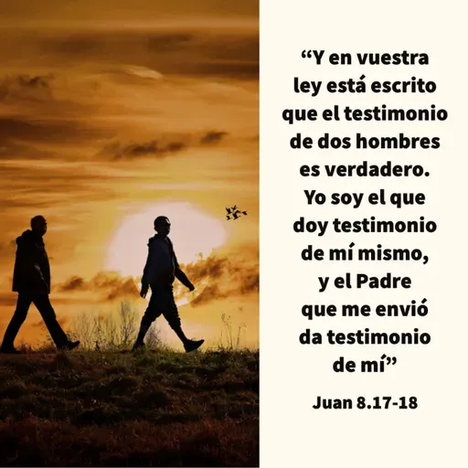 71 Reflexiones - ¿Qué tan segura es nuestra fe? (Juan 8.17-18)