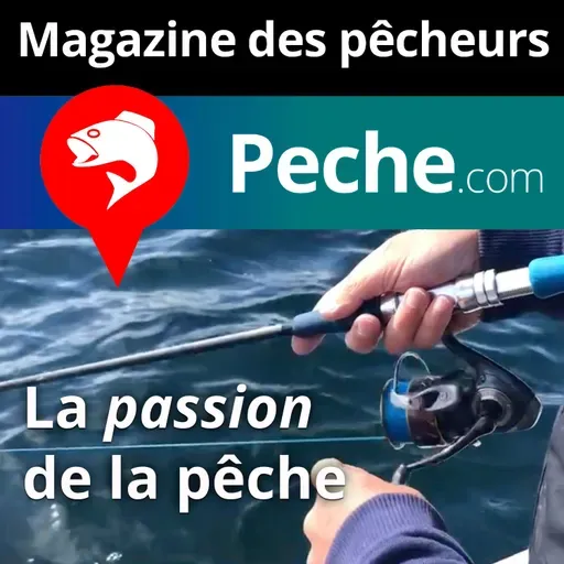 Les différentes techniques pour pêcher la pélamide, poisson de sport par excellence