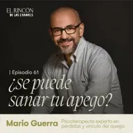 Entender realmente el apego - Mario Guerra | El rincón de los errores t6