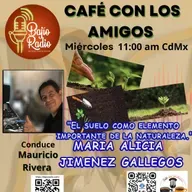 El suelo como elemento importante de la naturaleza.