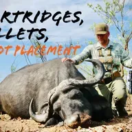 Cartridges, Bullets, & Shot Placement for Cape Buffalo