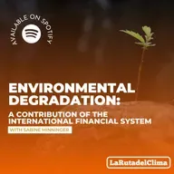 Environmental degradation: A contribution of the international financial system