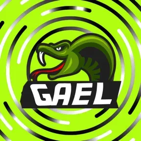 Gaeles radio FM