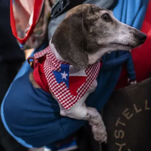 The big money in the Texas primaries