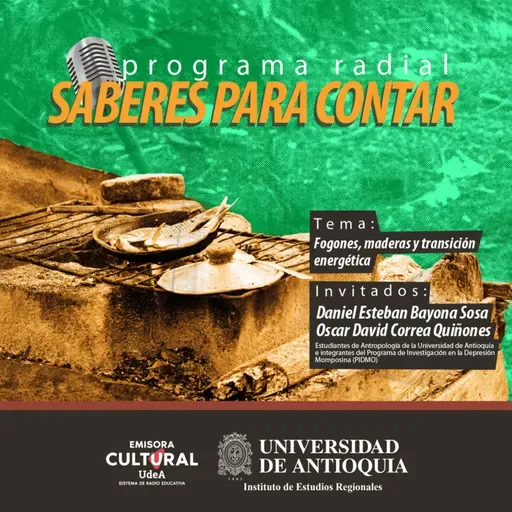 Fogones, maderas y transición energética