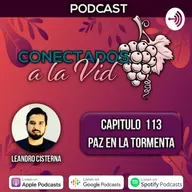 113 - Paz en la tormenta