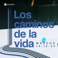 Los caminos de la vida - Sandro Garzón