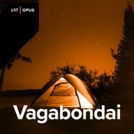 Karas, perversmai, potvyniai ir dėl jų atšaukti skrydžiai