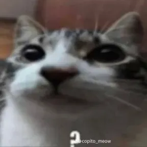 SamuelNaf