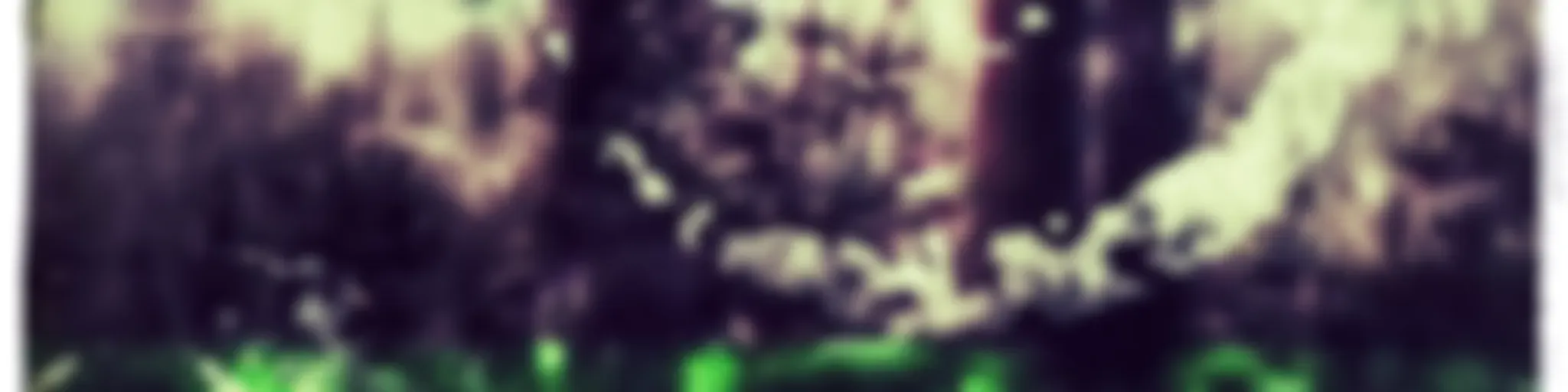 Disinfo Sector Podcast