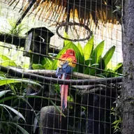 ¿Qué onda con la compra de Electronic Arts?