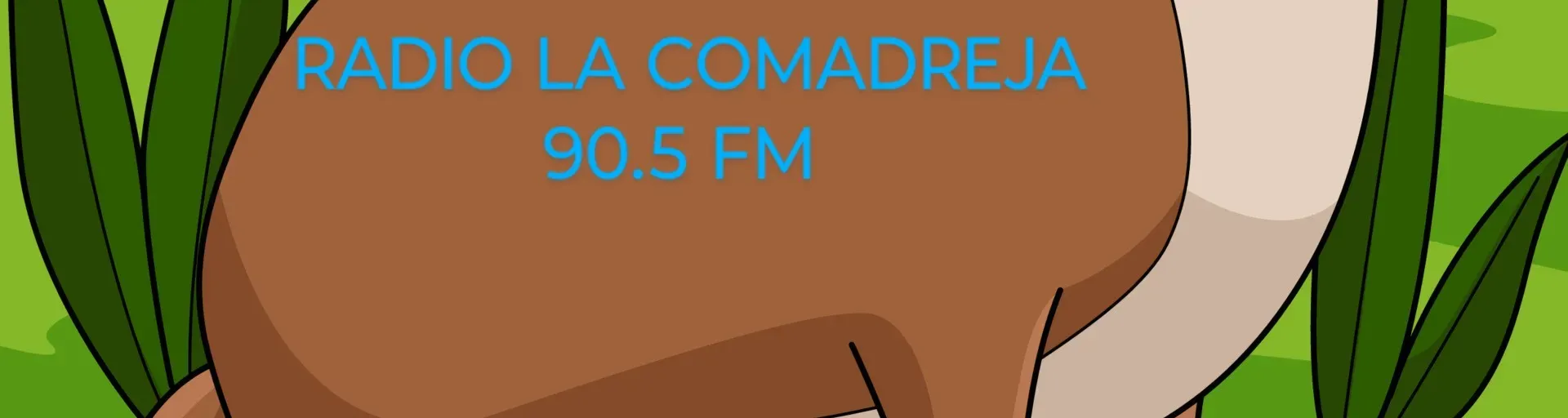 RADIO LA COMADREJA 107.9 fm
