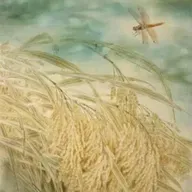 叶浅韵：我来了，我的人间