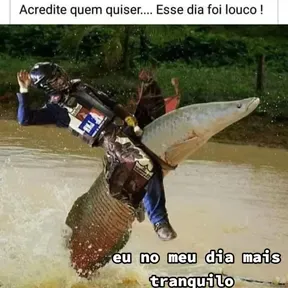 Os chofe