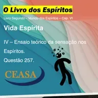 Ensaio teórico da sensação nos Espíritos - 06.02.2026 - Jorge Simas
