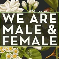 Being Human: We Are Male & Female | Genesis 2:4-25