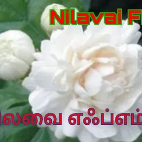NilavaiFM