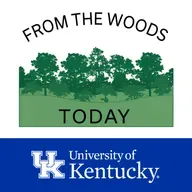 From the Woods Today - Prevention of Ticks and Mosquito Bites While in Your Woods