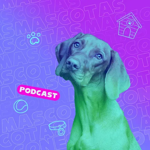 ¡Haz que tu mascota brille con amor y cuidado!
