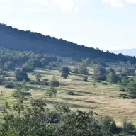 "Spiritual Remedies of Nuevo León"