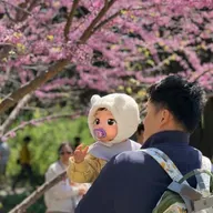 【三年回访】多伦多｜软件工程师的生活