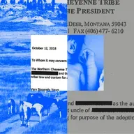 A Baby Adopted, A Family Divided