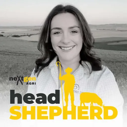 Understanding the wool industry pipeline with Shannon Donoghue