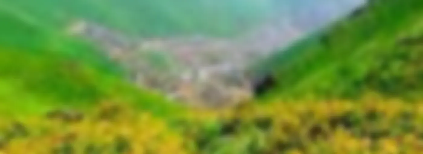 "Viajando Y Aprendiendo"