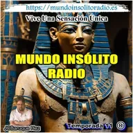 843/11. El libro de los muertos. Juegos en el Antiguo Egipto. Operación Iceberg. El tarot de Carl Gustav Young.