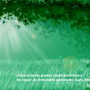 Sendadepaz