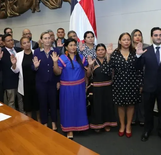 Diputados suplentes: ¿asalariados por encima de la ley?