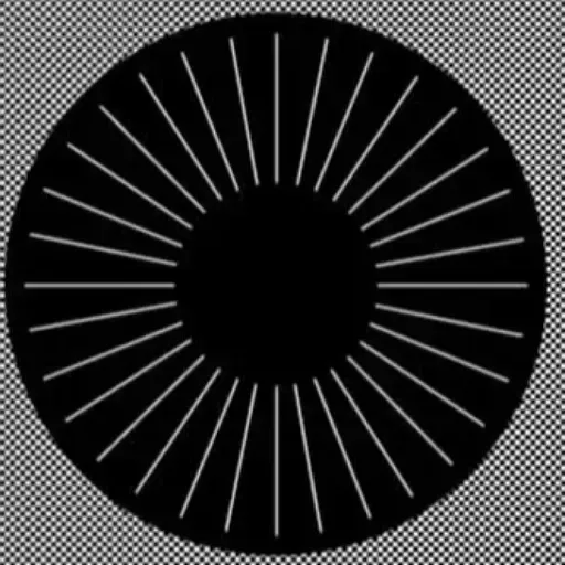 Transmission #5 con Fran Yera