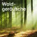 104.6 RTL - Waldgeräusche