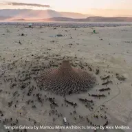 Of Beetles' wings and Brittlestars: using Biomimicry to co-create a flourishing future with Michael Pawlyn