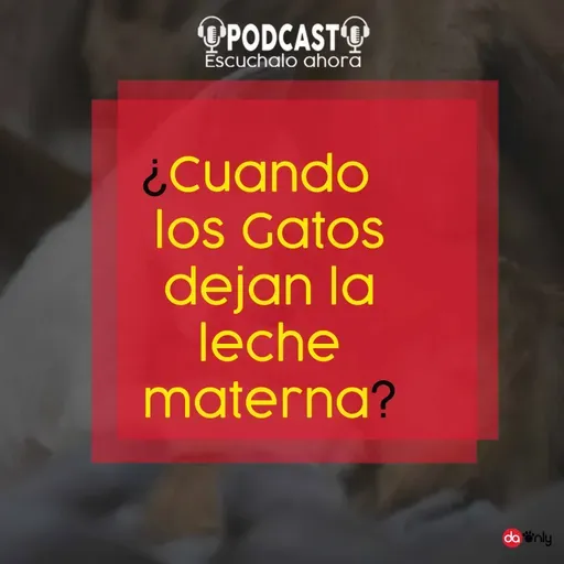 Episodio 128: ¿Cuándo los gatos dejan la leche materna?